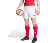 Corta Domicilio Arsenal 2025/26