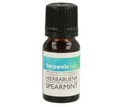 3 x Hierbabuena Aceite Esencial 10 ml de aceite esencial (Hierbabuena) - Terpenic