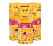 Pack apicol própolis + echinácea 3 unidades de 60ml - Tongil