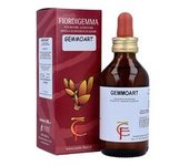Gemmoart Fiordigemma 100 ml - Centofiori
