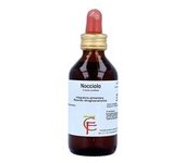 Nocciolo 100 ml - Centofiori