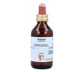 Sequoia 100 ml - Centofiori