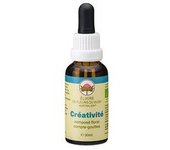 Elixir floral creatividad 30 ml de elixir floral - Love System Bush