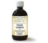 Gemmo 10+ Ficus carica (fico) 500 ml - Dr. Giorgini
