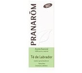 Aceite esencial de Té de Labrador 5 ml de aceite esencial - Pranarom