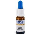 Elixir floral de mimulus amarillo 10 ml de elixir floral - Deva
