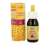 Apicol própolis + echinácea 60 ml - Tongil