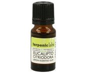 3 x Aceite Esencial Eucalipto Citriodora 10 ml de aceite esencial (Eucalipto) - Terpenic