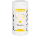Renvital 60 cápsulas - Equisalud
