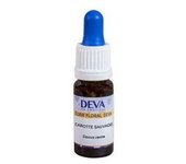 Elixir floral de zanahoria silvestre 10 ml de elixir floral - Deva