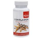 Cordyceps 60 cápsulas - Plantis