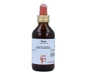 Rovo (Rubus fructicosus) 100 ml - Centofiori
