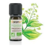 Aceite esencial de corteza de canela 60% 5 ml de aceite esencial - Florame