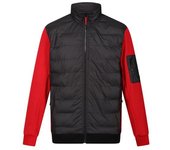 Regatta Colliston - Chaqueta polar para hombre S