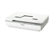 Escáner plano EPSON A4 de alta durabilidad compatible con sensor CCD A4 de 1200 ppp, modelo DS-5500 de bajo costo y rendimiento.