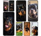 Funda de teléfono con diseño de perro rottweiler para Samsung Galaxy A52, A14, A50, A70, A10, A30, A40, A20S, A20E, A02S, A12, A22, A34, A42, A32 5G, A54, A04s Samsung A14 5G