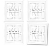 KYOGOKU Crystal Skin Hydrotech Brighting Mask Super Rich Moisturizing Face Pack Supervised by Beauty Salon Sheet Mask Hydra Serum of 4 (Set (1 gift))
