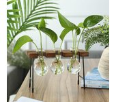 Jarrón de vidrio con forma de bulbo para plantas hidropónicas, con marco de madera creativo, para decoración de mesa del hogar, jarrones, vasos de vidrio, macetas para bonsáis