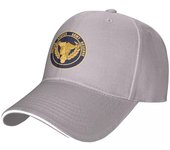 Gorra de béisbol con el SELLO DE LA RESERVA DEL EJÉRCITO DE LOS ESTADOS UNIDOS, gorra deportiva, gorra para el sol, gorra de golf, gorra de invierno para mujer, unisex