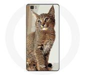 Coque pour Huawei P8 Lite Siamois Race de chats