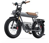 Bicicleta eléctrica Coswheel CT20 de 20 pulgadas y 1500 W, Fatbike, bicicleta de montaña, 48 V, 25 Ah, para adultos, motocicletas gris