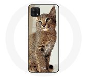 Coque pour Samsung Galaxy A22 5G Siamois Race de chats