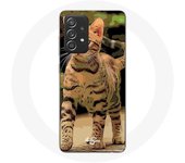 Coque pour Samsung Galaxy A52 Bengal Race de chats dessin Animé