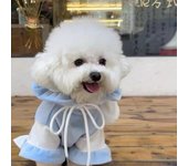 Ropa divertida para mascotas de otoño/invierno, muñeco de perro, sudadera con capucha con orejas de conejo de peluche, sudadera con capucha de oso de peluche, ropa linda, ropa para cachorros XS
