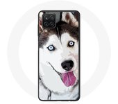Coque pour Samsung Galaxy A42 5G Husky Blanc de Sibérie Yeux Bleus