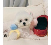 Caja de anillo de diamantes de peluche para perro, juego de caja de anillos súper grandes, juguetes para cachorros, cachorros, niños, juguetes suaves creativos y lindos rojo
