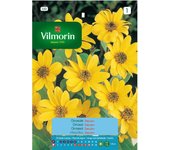 Semillas de girasol Zebulón