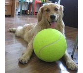 Pelota de tenis gigante para perros de 7/8/9,5 pulgadas, juguetes para mascotas, juguete para masticar para perros, pelota gigante de gran tamaño para niños, suministros de entrenamiento, envío directo de peluche