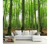 Papel tapiz 3D Mural fotográfico de árbol de bosque verde moderno Mural de pared de fondo de sala de estar TV sofá restaurante 200 cm(W) x 140 cm(H)