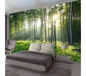 Papel tapiz de bosque 3D, murales de paisajes naturales de bosque verde, fondo de pared para sala de estar, dormitorio, decoración del hogar 200 cm(W) x 140 cm(H)