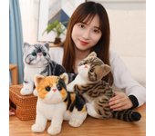 Juguete de peluche de gato de simulación esponjoso, tacto exquisito y acogedor, decoración del hogar, aspecto bonito, juguetes Tabby 27cm