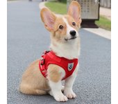 Conjunto de arnés y correa para perros, chaleco de malla ajustable reflectante para perros pequeños, cachorros y gatos Medium rojo