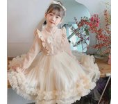 Vestido de gasa esponjosa de princesa para niña 2024: ropa infantil elegante para otoño/invierno 120 cm color rosa