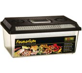 Exo Terra Faunarium-Terrario M Plano (37X22X16.5Cm)