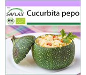 SAFLAX - Orgánico - Calabacín - Tondo di Nizza - 5 semillas - Cucurbita pepo
