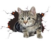 Nuevo 1 pieza de pegatina para coche con diseño de gato en 3D, pegatina para coche con diseño de perro grande y gato, pegatina reflectante de vinilo con diseño de animal en 3D