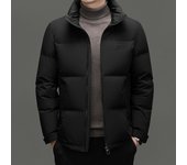 Chaqueta de plumón con cuello alto para hombre, nueva chaqueta de invierno cálida y moderna, corta y a la moda. M