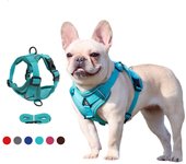 Arnés para perro cachorro, conjunto de chaleco y correa ajustable, arnés de nailon para gato, correas de pecho de malla transpirable reflectante para perros pequeños y medianos S