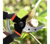 Tijeras de podar para árboles frutales Tijeras de podar para horticultura Tijeras de podar para bonsáis Tijeras de podar para huertos Herramientas de jardinería Herramientas para injertar plantas