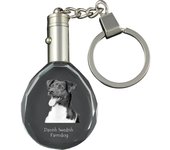 Perro de granja danés-sueco: colgante con foto de un perro, llavero de cristal en una caja de regalo, un regalo único de Art-Dog transparente