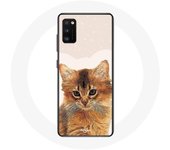 Coque pour Samsung Galaxy S20 plus Somali Race de chats
