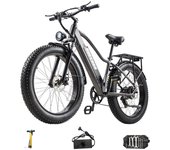 BURCHDA - Bicicleta de montaña eléctrica Bloody RX20, batería de litio 48V20AH, fatbike para adultos, moto, W50 KM, H, 26 pulgadas