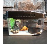 Terrario para reptiles antiescape, contenedor portador de plástico para reptiles, protector de cultivo de lagarto duradero para tarántulas Caracol Gecko negro