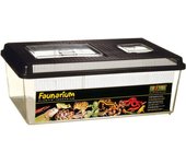 Exo Terra Faunarium-Terrario L Plano (46X31X17.5Cm)