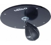 Juego de Speedball de cuero Carta Sport One Size negro