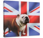Cuadros en Lienzo Perro Bulldog Bandera Inglesa 30x30 varios colores